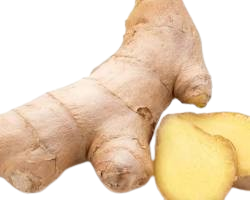 images-removebg-preview (11)