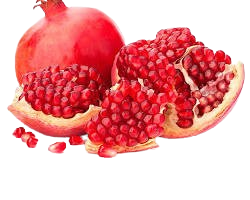 images-removebg-preview (6)