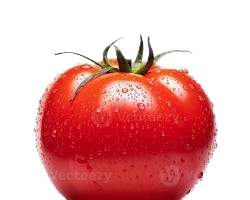 images-removebg-preview (7)